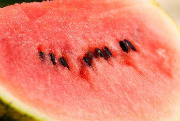 Similar image 1521395