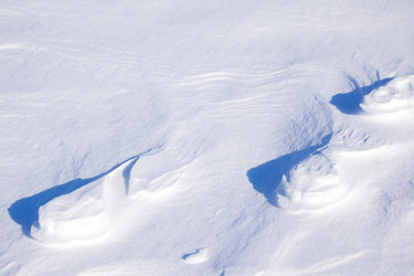 Similar image 1521471