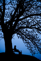 Similar image 1521556