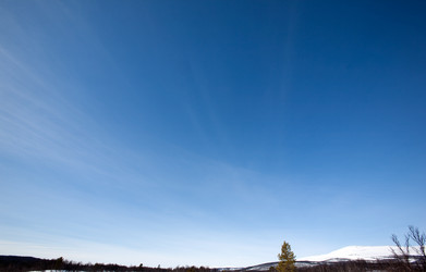 Similar image 1521559