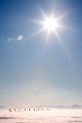 Similar image 1521602