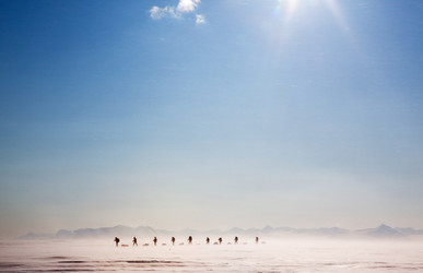 Similar image 1521603