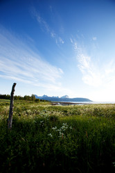 Similar image 1521700