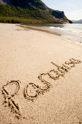 Similar image 1521824