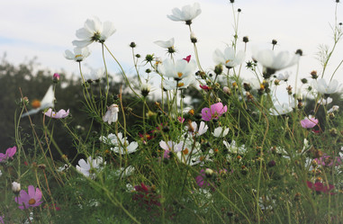 Similar image 1521961