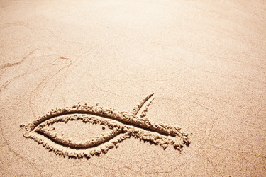 Similar image 1521967