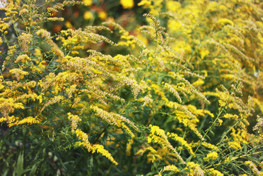 Similar image 1521987