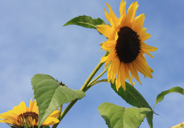 Similar image 1521988