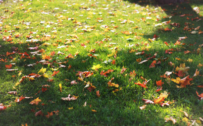 Similar image 1522168