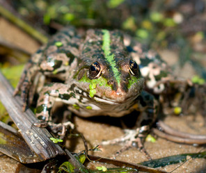 Similar image 1522604