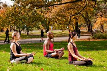 Similar image 1522690