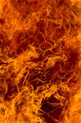 Similar image 1523087