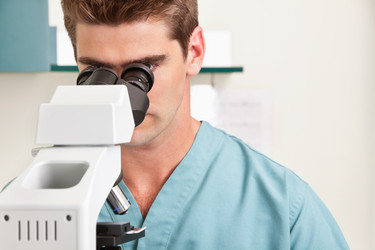 Similar image 1523642