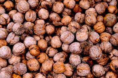 Similar image 1524024