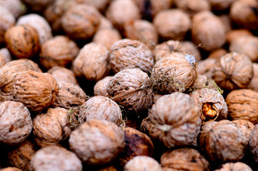 Similar image 1524025