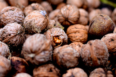 Similar image 1524026