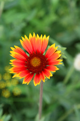 Similar image 1524030