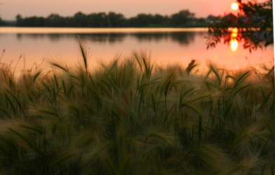 Similar image 1524031