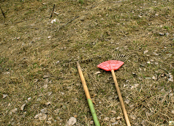 Similar image 1524042