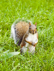 Similar image 1524230