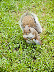 Similar image 1524232