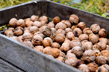 Similar image 1524272