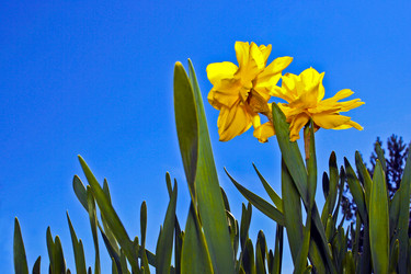 Similar image 1524276