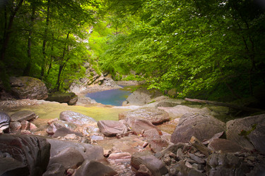 Similar image 1524304