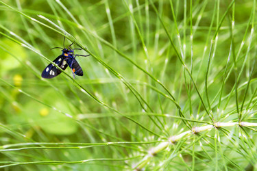 Similar image 1524389