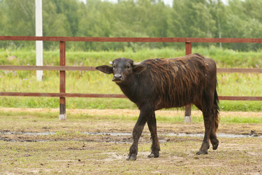 Similar image 1524390