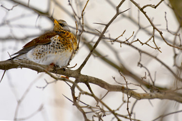 Similar image 1524393