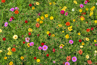 Similar image 1524486