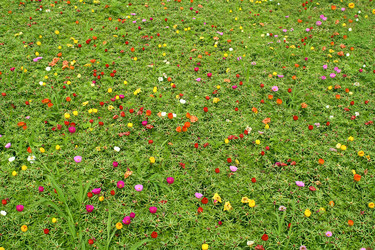 Similar image 1524487