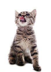 Similar image 1524511