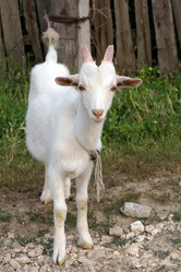 Similar image 1524551