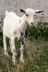 Similar image 1524555