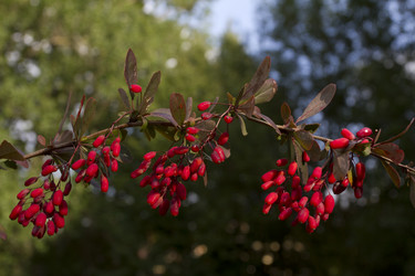 Similar image 1524556