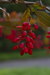 Similar image 1524557