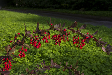 Similar image 1524558