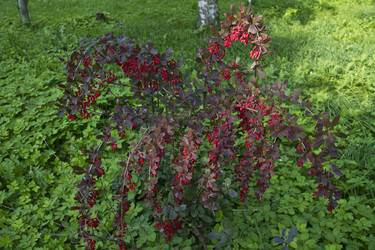 Similar image 1524559