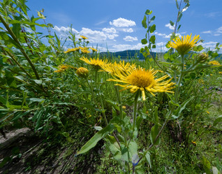 Similar image 1524561