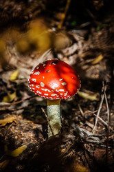 Similar image 1524563