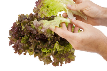 Similar image 1524566