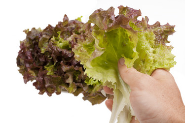 Similar image 1524568