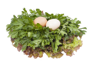 Similar image 1524584