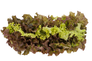 Similar image 1524585