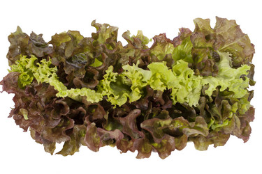 Similar image 1524587