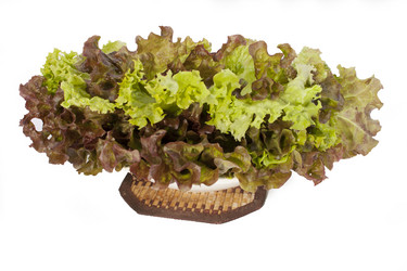 Similar image 1524590