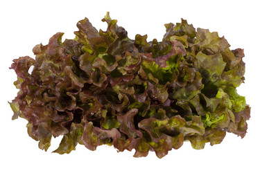 Similar image 1524592