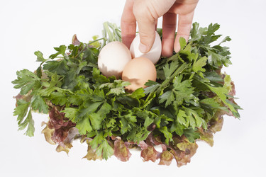 Similar image 1524594